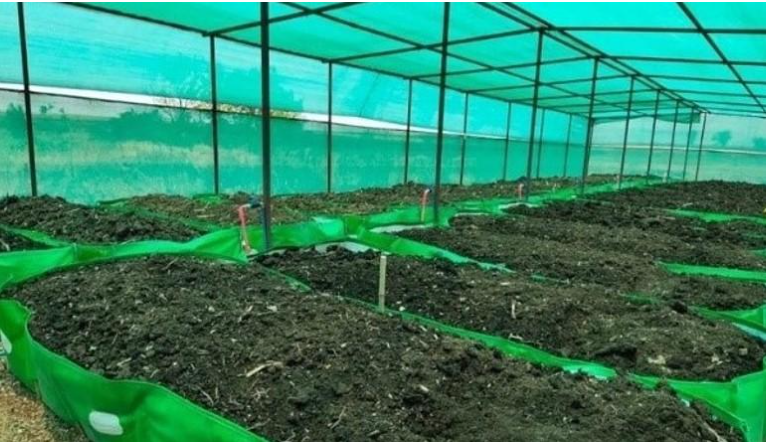 Vermicompost