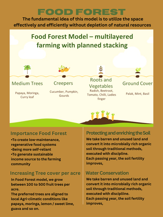 food-forest-model