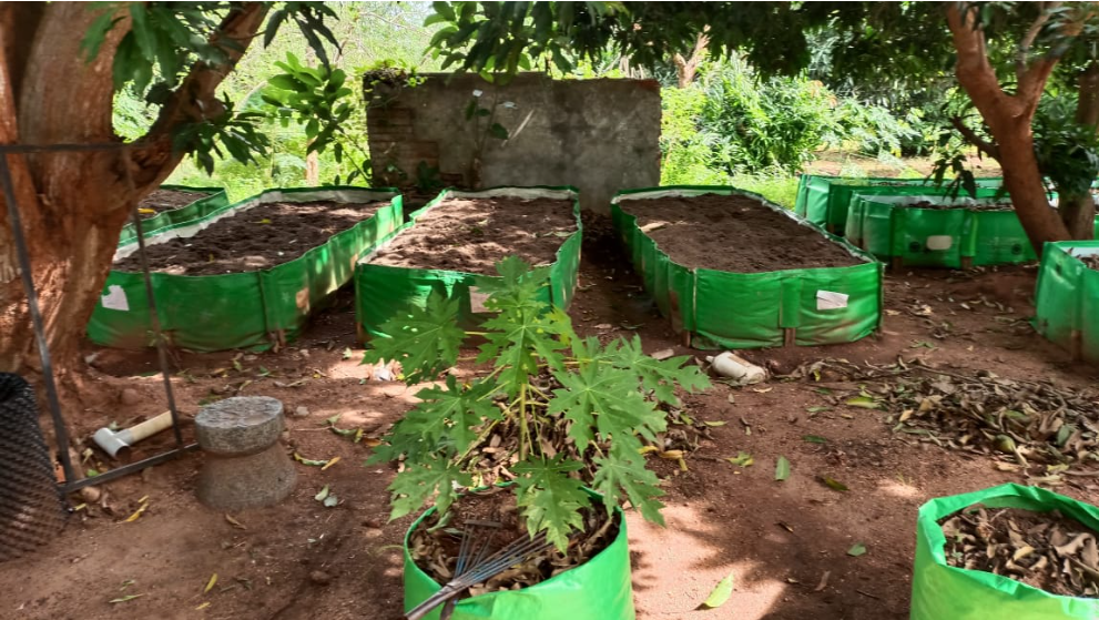 vermicompost unites