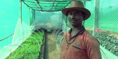Aquaponics: Sustainable farming for rural India